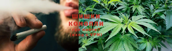 ГАЛЛЮЦИНОГЕННЫЕ ГРИБЫ Володарск