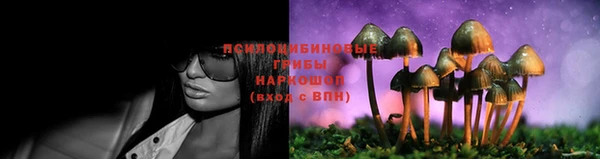 a pvp Волосово