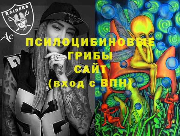 ГАЛЛЮЦИНОГЕННЫЕ ГРИБЫ Володарск